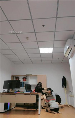 图片[3]_【妆主大大】办公室-母畜-高跟肉丝诱惑-耳光/脚插嘴-高跟踩_HD绳艺资源