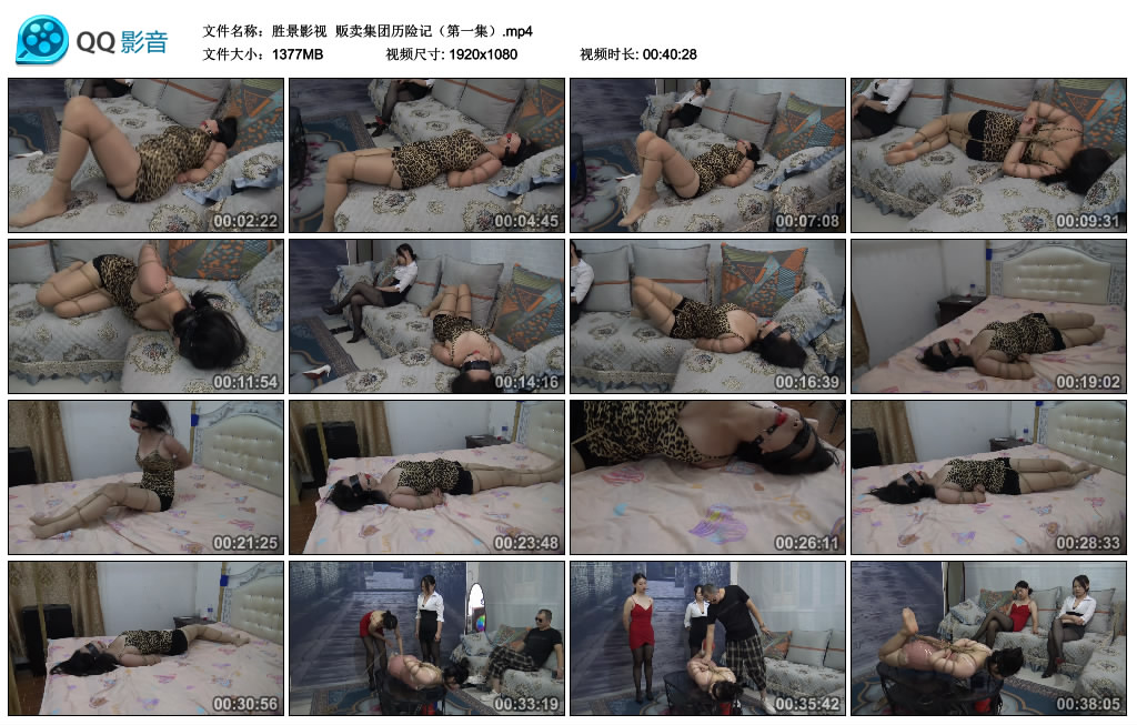 【胜景影视】 贩卖集团历险记（第一集）_HD绳艺资源