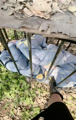 【沅芷大人】监督家奴做家务【双视角版】_HD绳艺资源