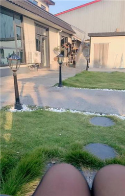 图片[4]_【沅芷大人】双S-伺候主人吃饭【双视角版】_HD绳艺资源