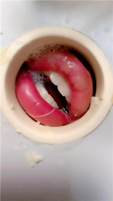 图片[8]_【茹雪】艺术踩虐木乃伊狗奴【上】_HD绳艺资源