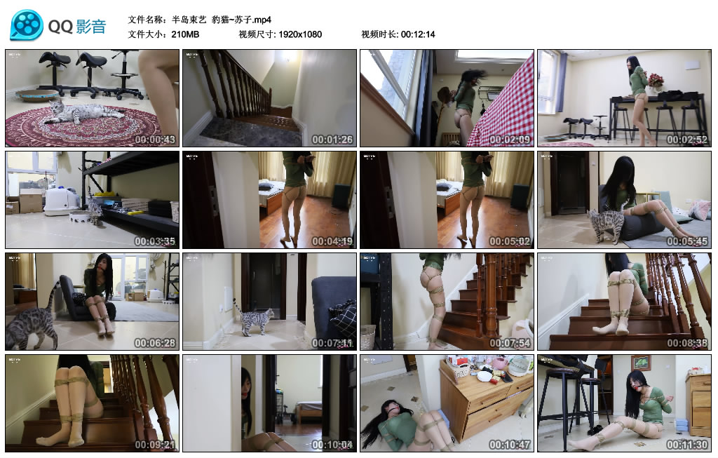 【半岛束艺】 豹猫~苏子_HD绳艺资源