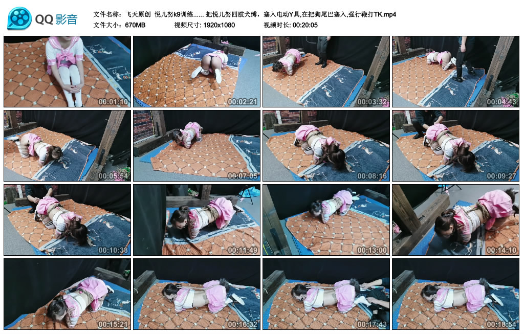 【飞天原创】 悦儿努k9训练_HD绳艺资源