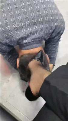 图片[14]_【冷御绳艺导师】狗奴幸福狗生-赏赐与挑战_HD绳艺资源