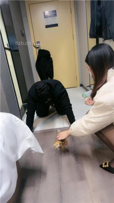 图片[8]_【小雅老师】黑丝高跟踩踏脚底喂食-喝圣水【完整版_HD绳艺资源