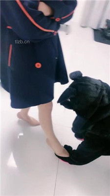 图片[4]_【蜜糖情侣】狗笼圈养绿帽狗/跪舔原味肉丝jio_HD绳艺资源