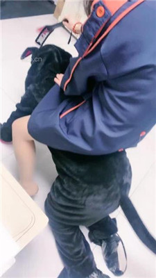 图片[5]_【蜜糖情侣】狗笼圈养绿帽狗/跪舔原味肉丝jio_HD绳艺资源