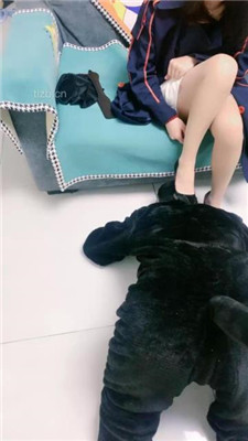 图片[8]_【蜜糖情侣】狗笼圈养绿帽狗/跪舔原味肉丝jio_HD绳艺资源