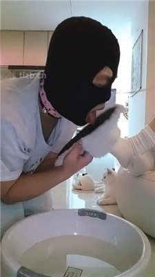 图片[7]_【小猫】舔毛拖鞋白袜/伺候沐足_HD绳艺资源