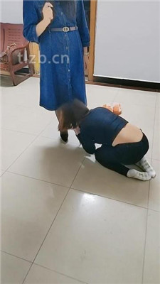 【广东迪迪】双S-母畜下跪伺候【双视角版】_HD绳艺资源