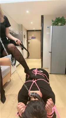 【林夕姐姐】把狗捆起来暴揍_HD绳艺资源