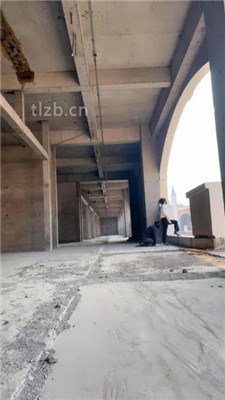 图片[13]_【辣姐】户外荒地遛狗-藤条抽/舔泥巴脏鞋底/骑马_HD绳艺资源