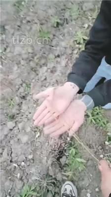 图片[5]_【十三娘】户外逮住偷拍狂虐废_HD绳艺资源