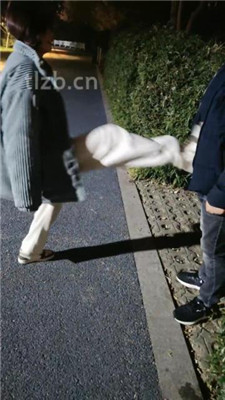 图片[6]_【诗琪】户外骑马骑脖遛狗_HD绳艺资源