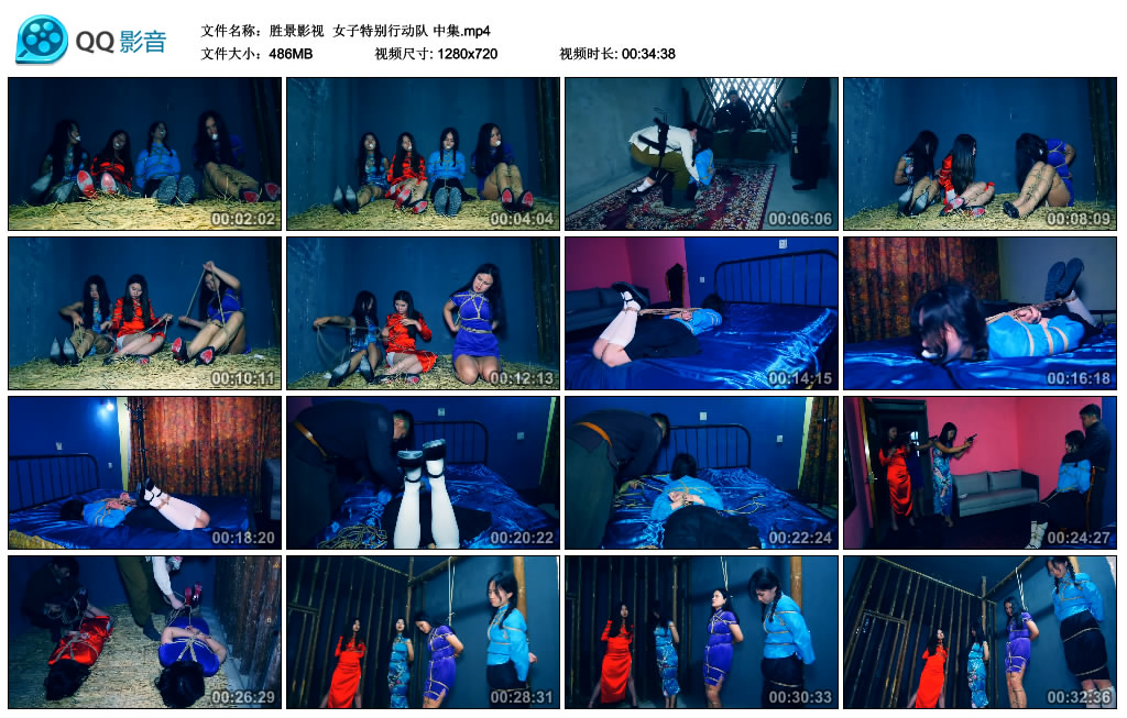 【胜景影视】 女子特别行动队 中集_HD绳艺资源