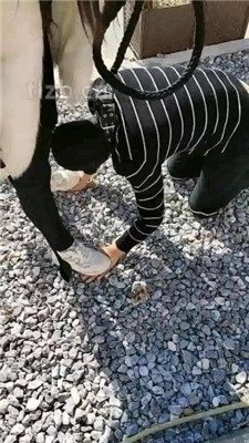 图片[2]_【广东迪迪】双S-户外-公开处刑遛狗_HD绳艺资源