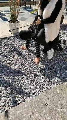 图片[3]_【广东迪迪】双S-户外-公开处刑遛狗_HD绳艺资源