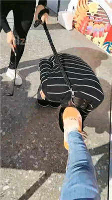 图片[6]_【广东迪迪】双S-户外-公开处刑遛狗_HD绳艺资源