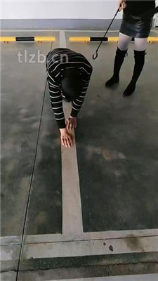 图片[6]_【广州迪迪】双S-户外停车场遛狗【双视角版】_HD绳艺资源