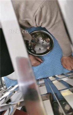 【朱迪绳艺导师】狗笼圈养喂食贱奴-双S-sp骑马【下】双视角版_HD绳艺资源