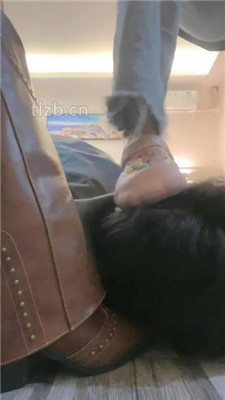 图片[6]_【香芋朱朱】双S-学长沦为狗【双视角版】_HD绳艺资源