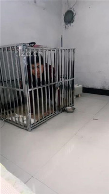 图片[9]_【安静大大】圈养生活-踩脖子/气味控制/踩踏【双视角版】_HD绳艺资源