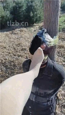 图片[10]_【酒鸽】户外-五花大绑封嘴/长靴踩虐/窒息【双视角版】_HD绳艺资源