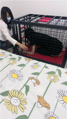 图片[13]_【狠欣然】圈养犬化虐待情侣奴【上】_HD绳艺资源