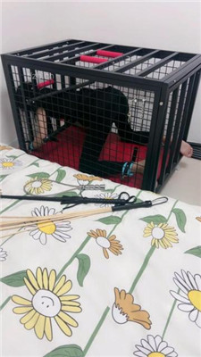 图片[15]_【狠欣然】圈养犬化虐待情侣奴【上】_HD绳艺资源