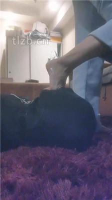 图片[9]_【盈盈】舔主人的老爹鞋/裸足插嘴_HD绳艺资源