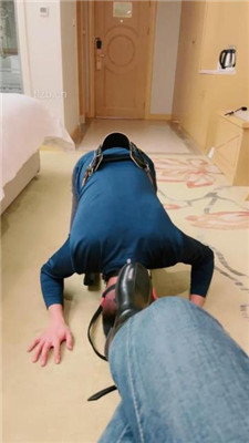 【语阳】给狗戴马鞍骑马爬行_HD绳艺资源