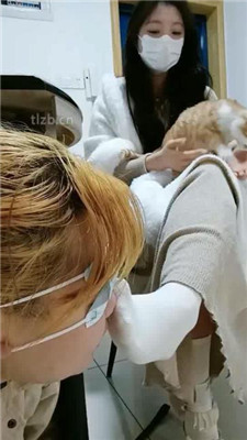 图片[5]_【爱可呀】母畜尝试犬化-清理靴底/踩喂食/升水_HD绳艺资源