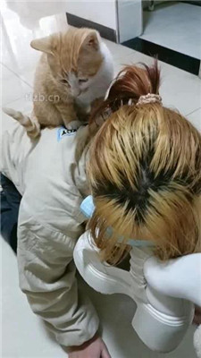 图片[12]_【爱可呀】母畜尝试犬化-清理靴底/踩喂食/升水_HD绳艺资源