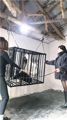 图片[4]_【月岚/昭月】刑椅笼子拘束训练踢踹/户外骑马【双视角版】_HD绳艺资源