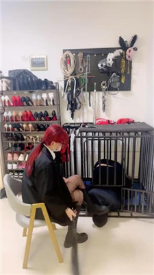 图片[2]_【雯雯】狗笼圈养家奴_HD绳艺资源