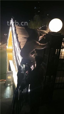 图片[10]_【诗琪】户外-骑脖骑马遛狗_HD绳艺资源