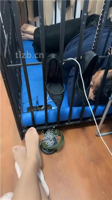 图片[7]_【冰色】狗笼圈养囚禁_HD绳艺资源