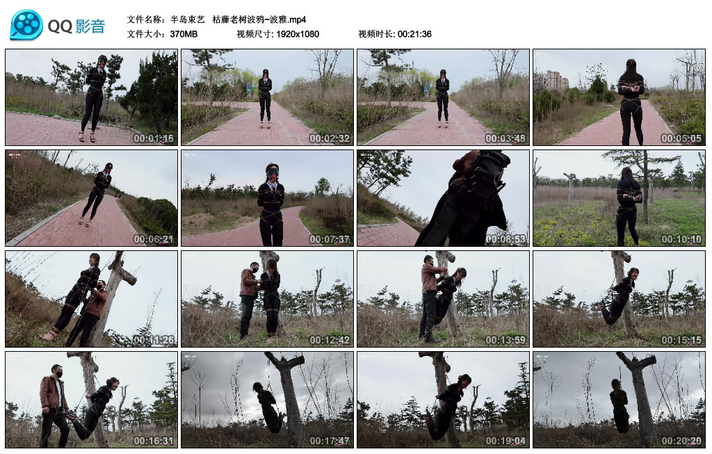 【半岛束艺】  枯藤老树波鸦~波雅_HD绳艺资源