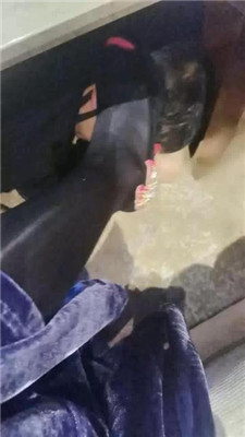 图片[11]_【魔鬼天使】桌底下的贱奴_HD绳艺资源