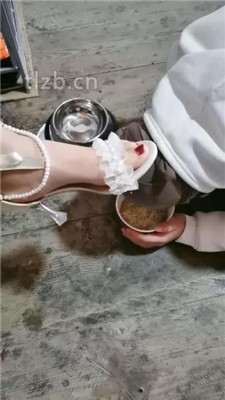 图片[18]_【大美】狗笼圈养-喂食晨尿泡面_HD绳艺资源