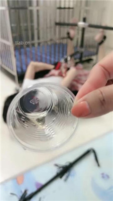 图片[16]_【狠欣人】母畜-脚喂食-反绑囚禁-训练虐-狗笼舔脚_HD绳艺资源