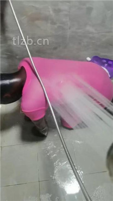 图片[5]_【甘露】圈养狗犬化伺候实录_HD绳艺资源