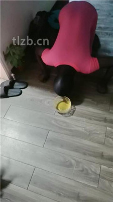 图片[8]_【甘露】圈养狗犬化伺候实录_HD绳艺资源