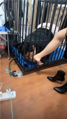 图片[2]_【冰色】狗笼圈养跪舔高跟原味脚_HD绳艺资源