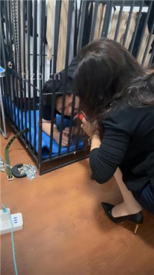 图片[3]_【冰色】狗笼圈养跪舔高跟原味脚_HD绳艺资源