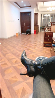 【沅芷大人】ATM贡奴-写借条不停给钱求虐_HD绳艺资源