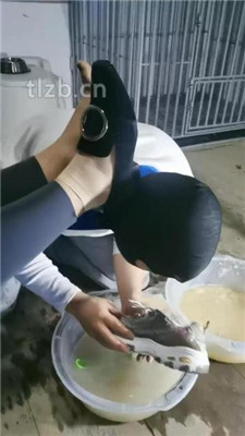 图片[12]_【大美】家务奴努力清理脏鞋_HD绳艺资源