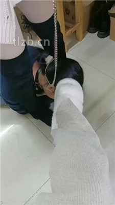 【爱可呀】母畜-转胯狗链遛狗/人体擦鞋器_HD绳艺资源