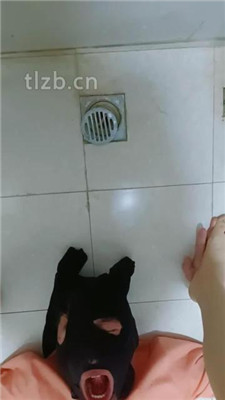 图片[8]_【魅儿】强迫素人狗舔脚-开发喝圣水_HD绳艺资源