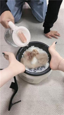 图片[9]_【安主】赏赐贱狗肉丝大餐_HD绳艺资源